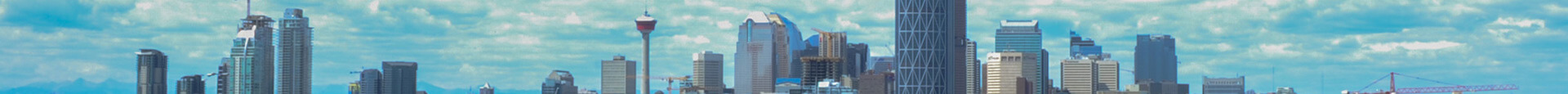 Aardvark Media Header Aardvark Media Header