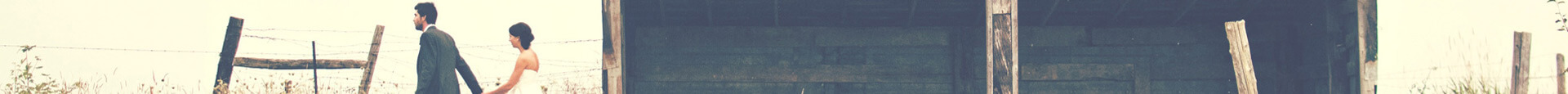 Aardvark Media Header